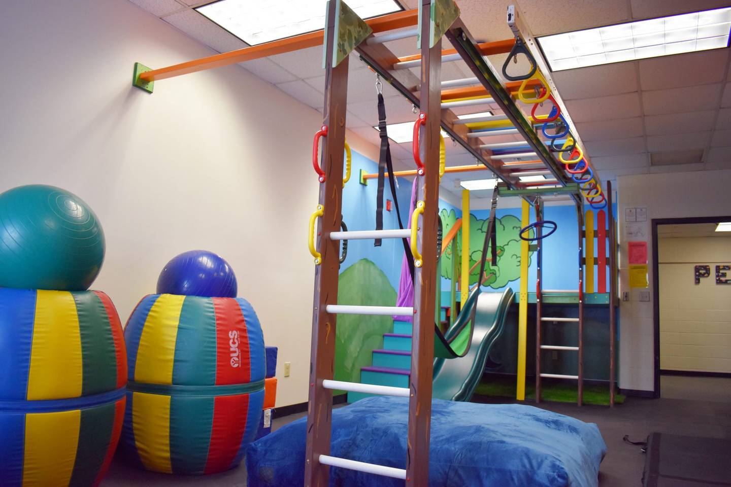 Design for Wellness